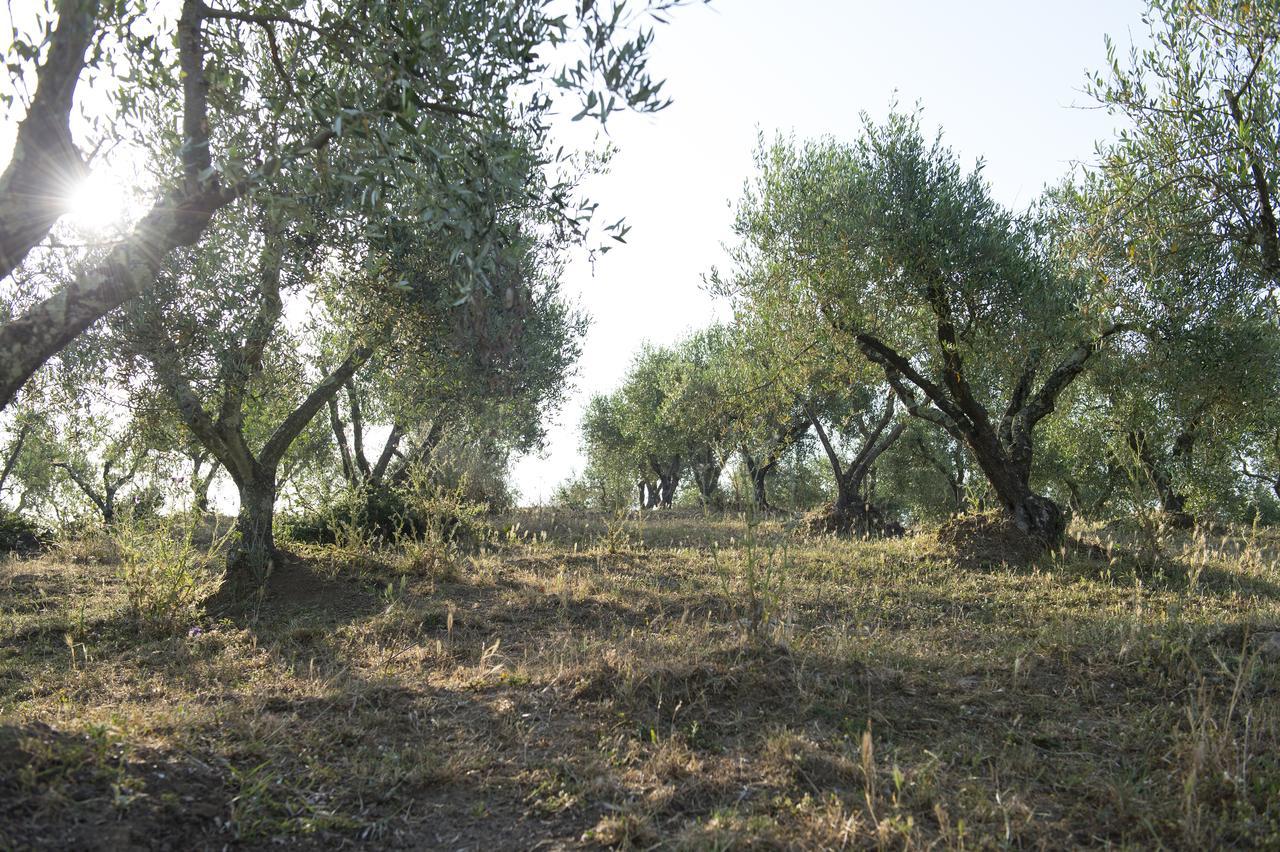 Agriturismo Poggio Corbello La Pesta Exterior photo